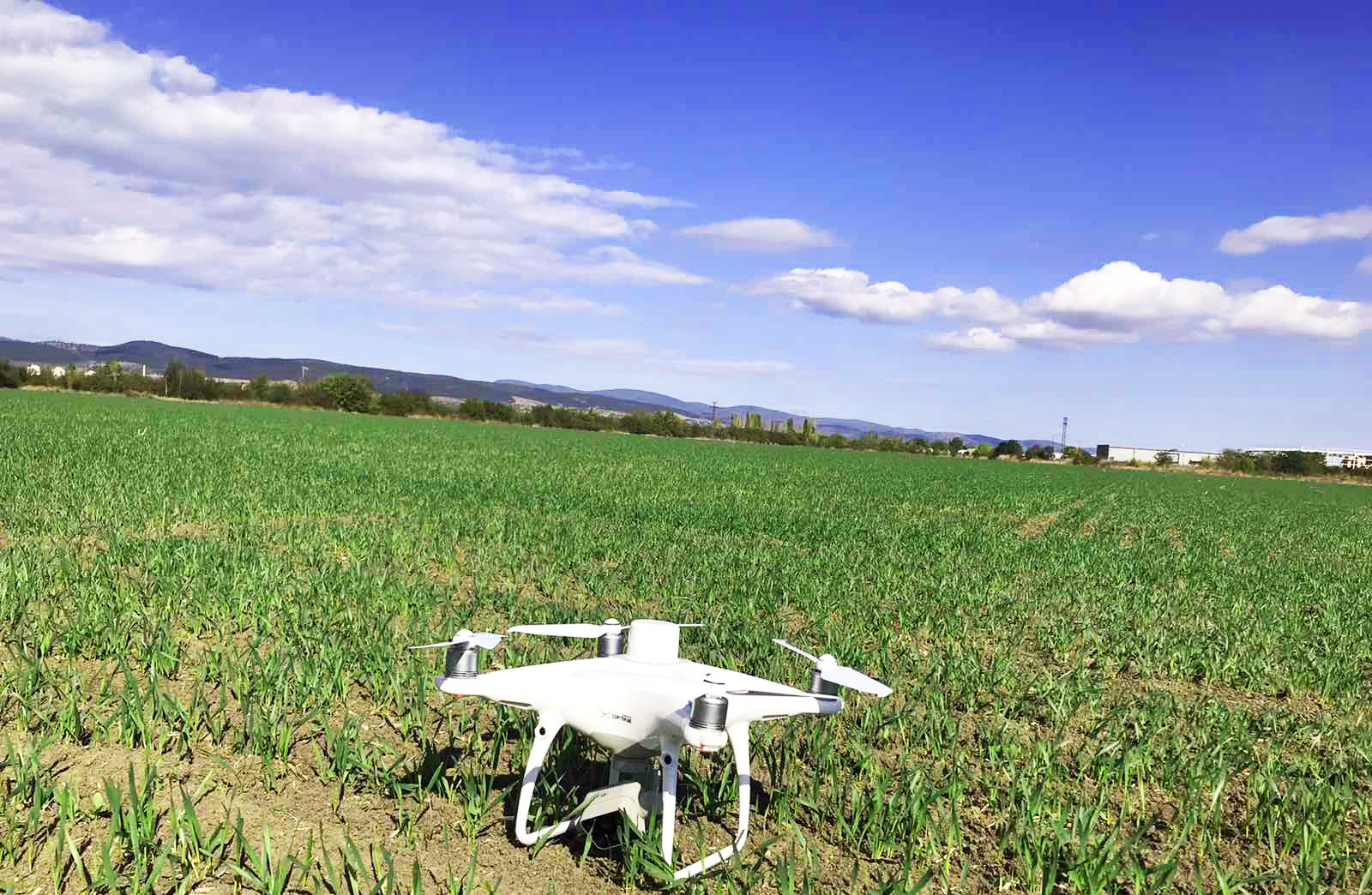 dron